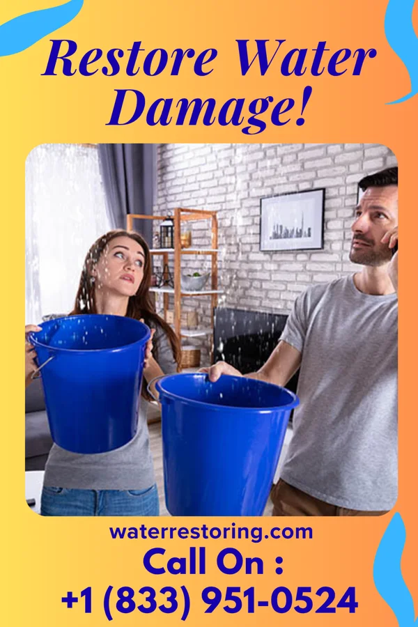 water restoration Premier Extraction Contractors Troy