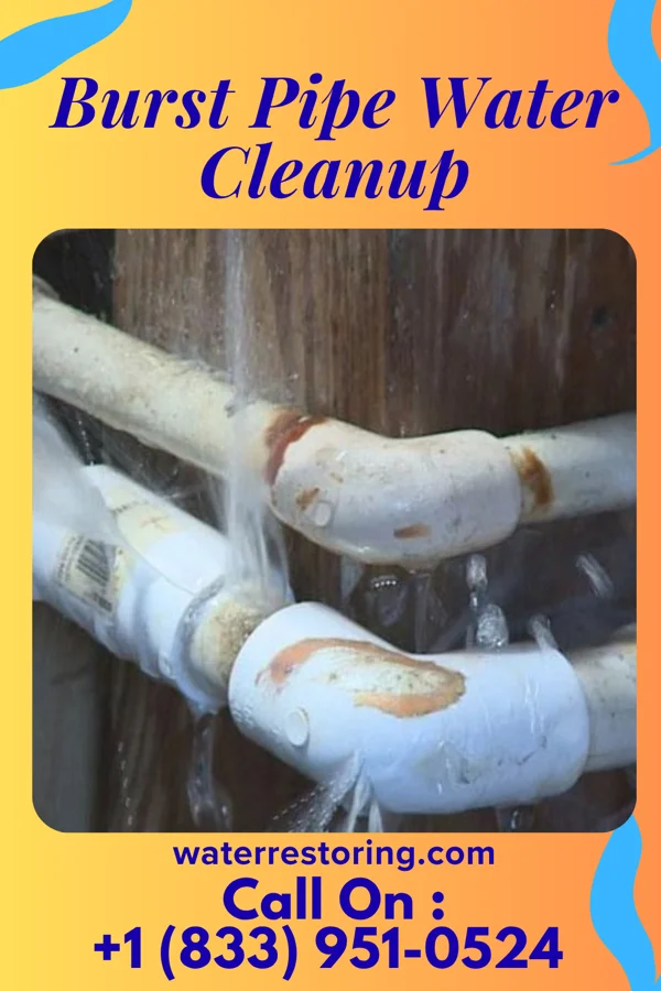 Burst Pipe Water Cleanup in Troy, PA