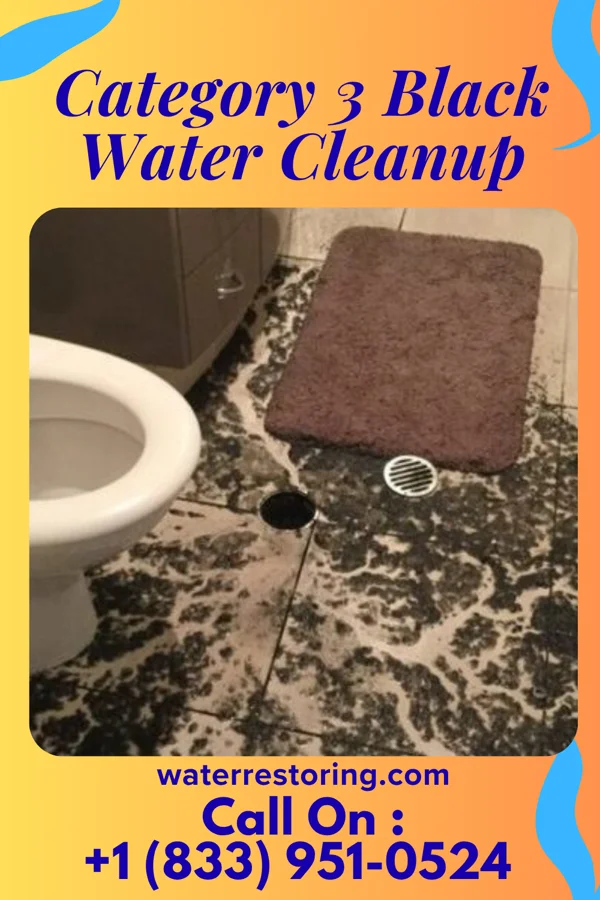 Category 3 Black Water Cleanup in Troy, PA
