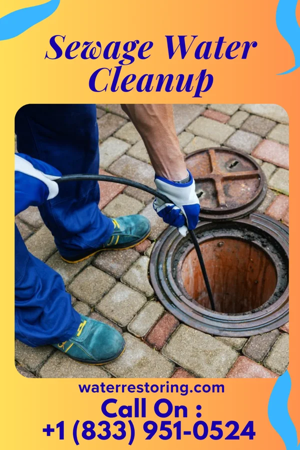 Sewage Water Cleanup in Troy, PA